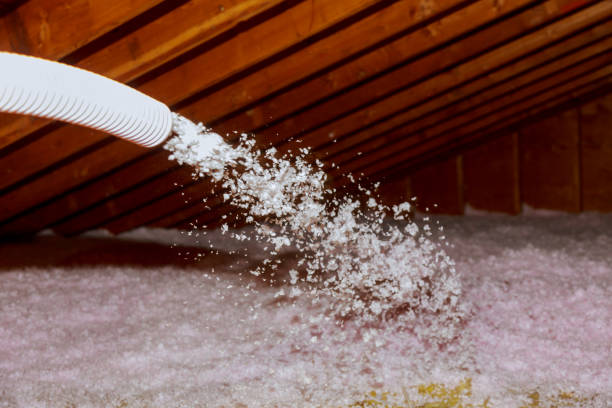 Best Energy Efficiency Insulation in Johnstonville, CA