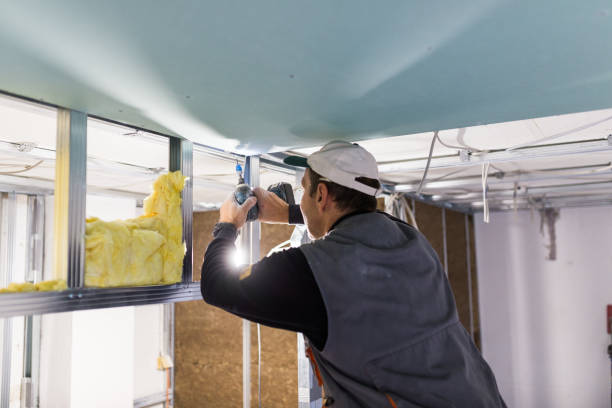 Best Blown-in Insulation in Johnstonville, CA