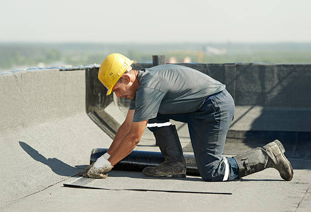 Best DIY Insulation Kits and Guidance in Johnstonville, CA